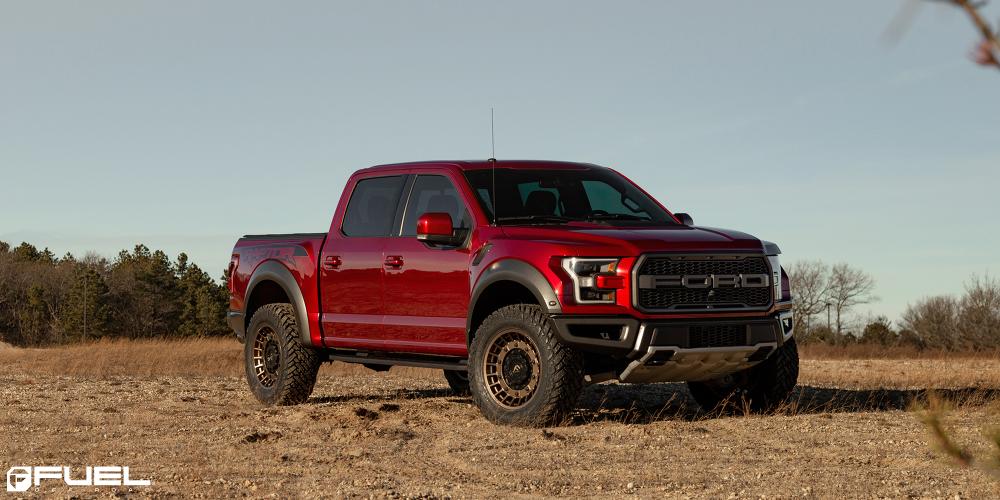 Ford F-150 Militia - D725